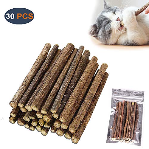 GingerUP palitos de Hierba gatera para Gato, Juguetes de Hierba gatera orgánicos Naturales Matatabi Silvervine Sticks Dental Treats Dientes Grinding Chew Toys, Paquete de 30 Unidades