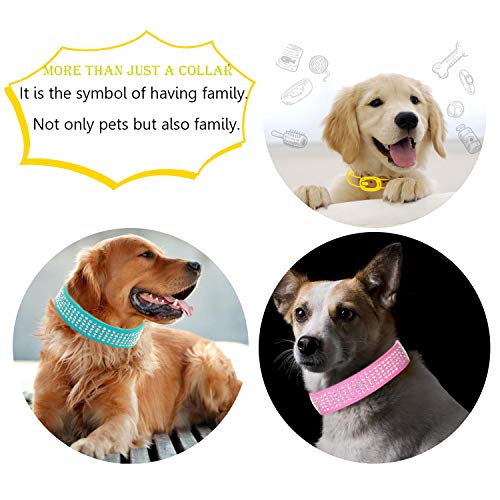 Glittel Collares de Perros de Cuero Grandes Mediano pequeños Cuello Ajustable con Colgante número DIY 8 Colores 5 tamaños