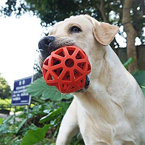 Gouwo Mascota Juguetejuguetes para Mascotas Juguetes para Perros De Entrenamiento De Perros De Entrenamiento De Alpinia para Perros con Fugas Y Dientes De Mordida Tamaño: 12.5Cm Nido de mascotas