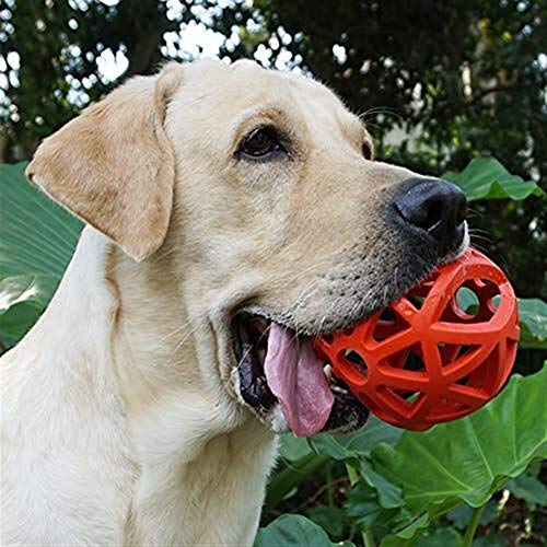 Gouwo Mascota Juguetejuguetes para Mascotas Juguetes para Perros De Entrenamiento De Perros De Entrenamiento De Alpinia para Perros con Fugas Y Dientes De Mordida Tamaño: 12.5Cm Nido de mascotas