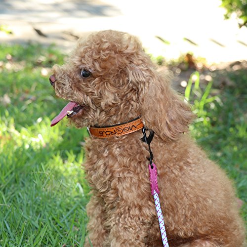 Grand Line Collar de Perro de Cuero Duradero Acolchado Suave con Perforador de Agujeros, Marrón(XS)