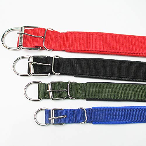 GSERA Collar de Perro con Correa de Nylon Ajustable para Perros Pequeños Grandes Cachorro Accesorios para Mascotas Collar de Cuero para Perros Golden Retriever Husky