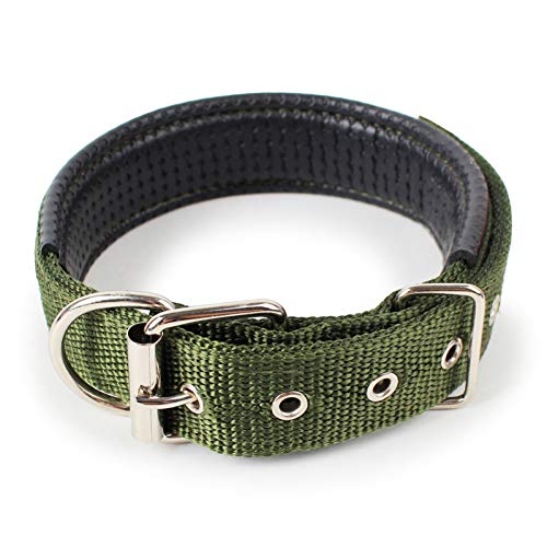 GSERA Collar de Perro con Correa de Nylon Ajustable para Perros Pequeños Grandes Cachorro Accesorios para Mascotas Collar de Cuero para Perros Golden Retriever Husky