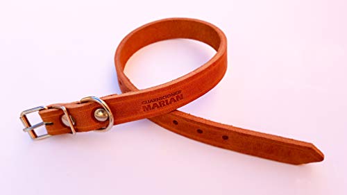 Guarnicioner Marian Collar para Perro elaborado en Cuero de curtición ultraresistente y Flexible, indicado para Uso Profesional (35x750mm)