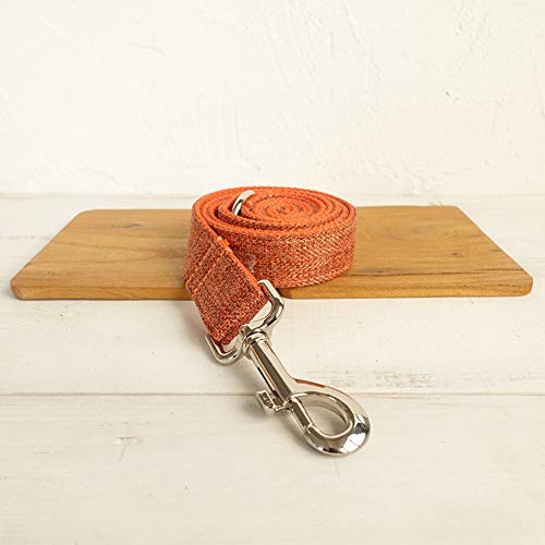 Gulunmun Dog Lead + Collar de Perro, Juego de Correa y Collar para Perro, Ajustable a 2 Longitudes Diferentes,   para adiestramiento de Perros pequeños/medianos/Grandes, Caminar, Correr, XL