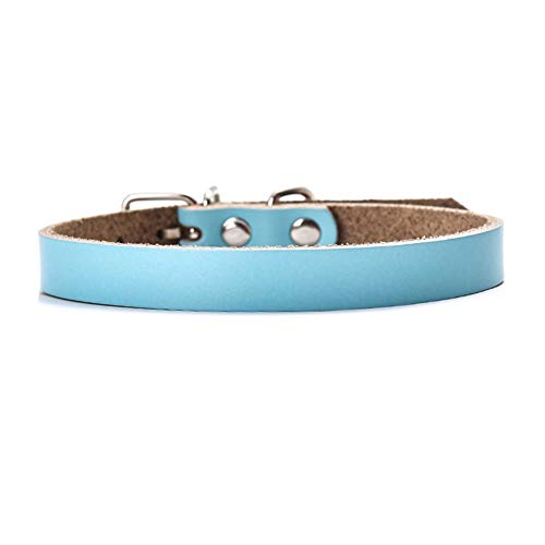 GUOCU 5 Pieza Collar Cuero PU Polipiel Espina Pinchos Punky Ajustable para Perro,Cielo Azul (5 Piezas),XL