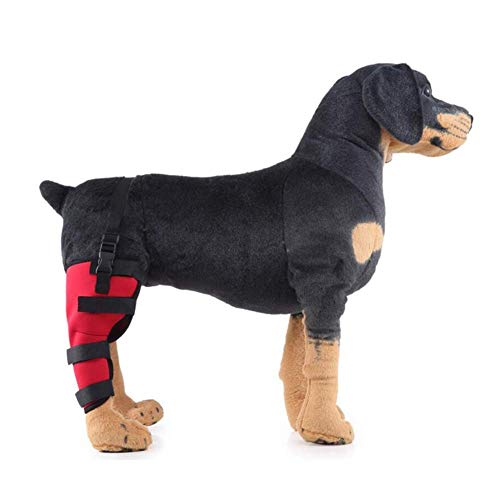 GuoYq Rodillera Perro,Piernas del Perro Rodilla Cubierta De La ArticulacióN ProteccióN For FijacióN RecuperacióN Perro Leg Wrap For Brace Walker para Perros