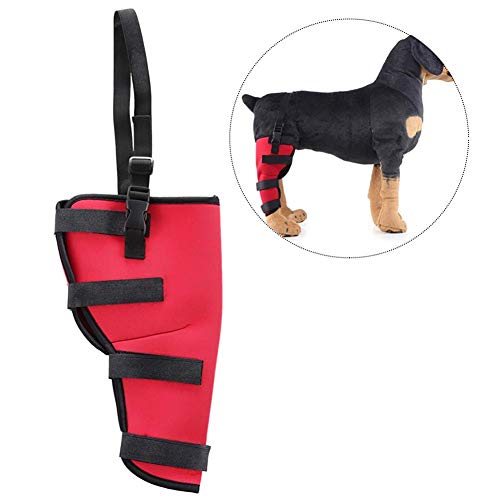 GuoYq Rodillera Perro,Piernas del Perro Rodilla Cubierta De La ArticulacióN ProteccióN For FijacióN RecuperacióN Perro Leg Wrap For Brace Walker para Perros