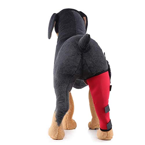 GuoYq Rodillera Perro,Piernas del Perro Rodilla Cubierta De La ArticulacióN ProteccióN For FijacióN RecuperacióN Perro Leg Wrap For Brace Walker para Perros