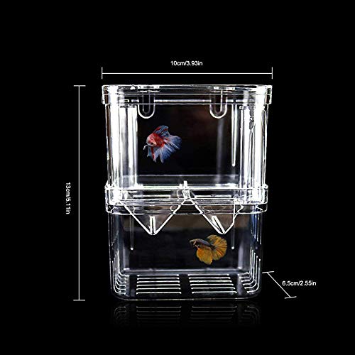 GZYM La cría de Peces Box, acrílico Flotante criadero de Peces isotérmico, de Doble Capa Eclosión Incubadora Cría La cría, Acuario del Tanque de Peces de crianza de contenedores Divisor con ventosas