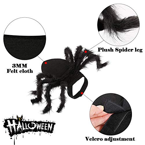 Halloween Ropa Perro Gato Invierno Calentar, Morbuy Cosplay Araña Mascota Fiesta Disfraces Sudaderas Suéter Vestido para pequeños Animal Accesorios para el Pelo (S,Araña Negra)