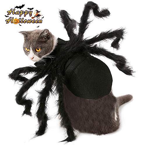 Halloween Ropa Perro Gato Invierno Calentar, Morbuy Cosplay Araña Mascota Fiesta Disfraces Sudaderas Suéter Vestido para pequeños Animal Accesorios para el Pelo (S,Araña Negra)