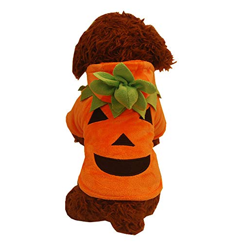 Halloween Ropa Perro Gato Invierno Calentar, Morbuy Mascota Calabaza Cosplay Fiesta Disfraces Sudaderas Suéter Vestido para pequeños Animal Accesorios para el Pelo (M,Naranja)