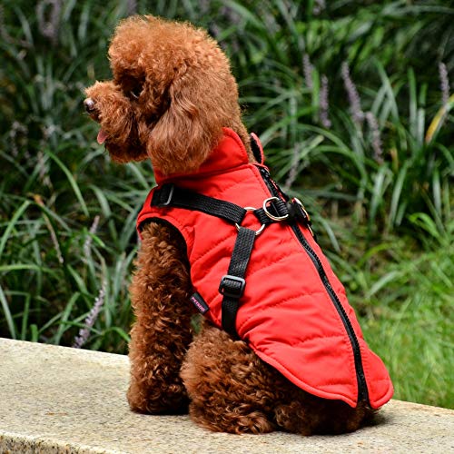 Handfly Chaqueta de Abrigo para Perros con arnés para Perros pequeños y medianos Chaqueta de Abrigo para Perros a Prueba de Agua Chaleco Acolchado cálido Mascota Cachorro de Perro Ropa Chaleco