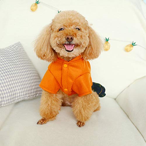 Handfly Perro pequeño Princesa Ropa Cachorro Falda Falda de Tirantes Perros pequeños Lindo Vestido a Cuadros con Flores Pequeño Abrigo para Perros Chaqueta para Cachorros Perro Gato Suéter Jersey