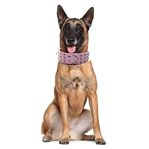 haoyueer Collar de Perro de 2 Pulgadas de Ancho con 3 Filas de Cuero con Tachuelas, Ajuste Resistente, para Perros Grandes Pit Bull Terrier Mastín