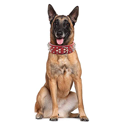 haoyueer - Collar de Piel para Perro con Remaches de Bala con Tachuelas de 2 Pulgadas de Ancho, Elegantes Collares de Piel para Perros medianos y Grandes