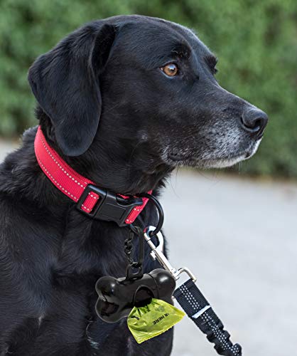 Happilax Bolsas para excrementos de Perros biodegradables con almidón de maíz, Bolsa Caca Perro y Gato sin Olor, 300 Piezas - con dispensador