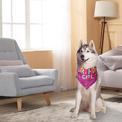 HAPPY HACHI Cumpleaños Bandana Perro Pañuelo Perrito Suave Adorable Bufandas Perro Hembra Macho Pequeño Grande Decoración Fiesta Regalo De Cumpleaños Morado