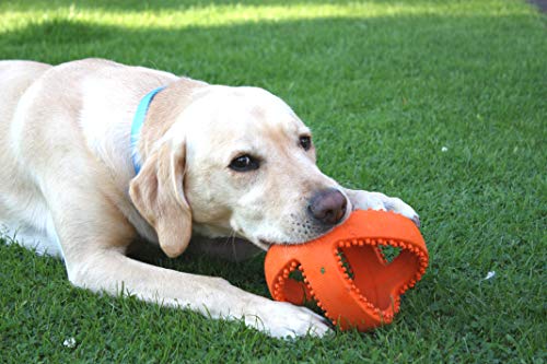 Happy Pet - Pelota de peluquería