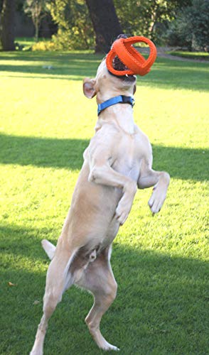 Happy Pet - Pelota de peluquería