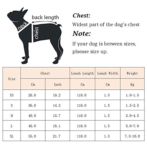 Harnais de Gilet de Chien de compagnie respirant Coupe-Vent pour Petits Chiens de Taille moyenne Voyage chiot Carlin harnais laisse Ensemble -Bleu_Combinaison S 1,5-2,5 kg