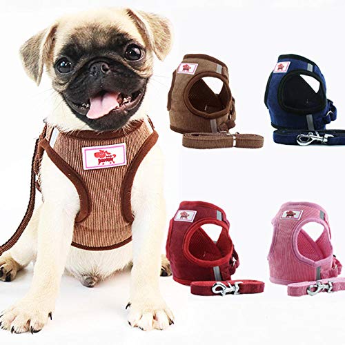 Harnais de Gilet de Chien de compagnie respirant Coupe-Vent pour Petits Chiens de Taille moyenne Voyage chiot Carlin harnais laisse Ensemble -Marron_Combinaison S 1,5-2,5 kg