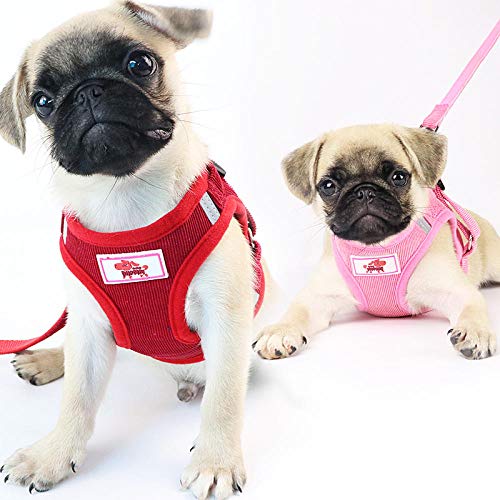 Harnais de Gilet de Chien de compagnie respirant Coupe-Vent pour Petits Chiens de Taille moyenne Voyage chiot Carlin harnais laisse Ensemble -Rose_Combinaison S 1,5-2,5 kg