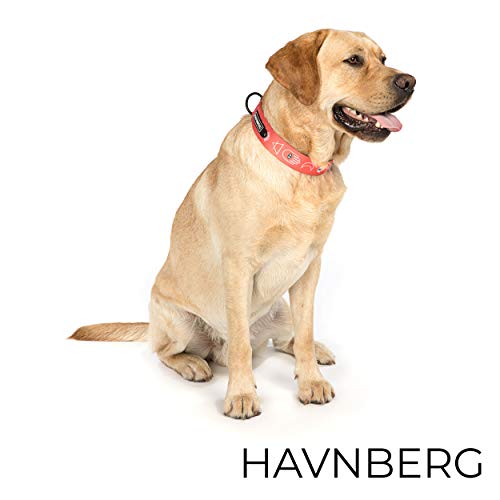 HAVNBERG - Collar para Perros, Talla L Circunferencia del Cuello 41,0 cm - 66,0 cm, Ancho Collar para Perros Grandes y medianos, Ancho 3,8 cm, salmón, Azteca