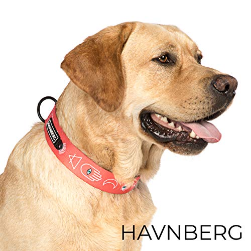 HAVNBERG - Collar para Perros, Talla L Circunferencia del Cuello 41,0 cm - 66,0 cm, Ancho Collar para Perros Grandes y medianos, Ancho 3,8 cm, salmón, Azteca