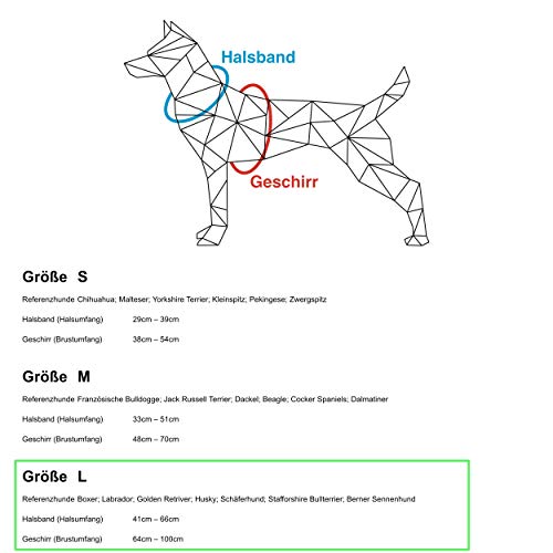 HAVNBERG - Collar para Perros, Talla L Circunferencia del Cuello 41,0 cm - 66,0 cm, Ancho Collar para Perros Grandes y medianos, Ancho 3,8 cm, salmón, Azteca