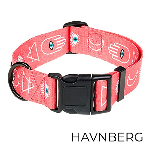 HAVNBERG - Collar para Perros, Talla L Circunferencia del Cuello 41,0 cm - 66,0 cm, Ancho Collar para Perros Grandes y medianos, Ancho 3,8 cm, salmón, Azteca