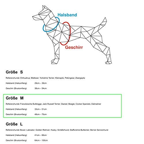 HAVNBERG - Collar para Perros, Talla M Cuello Circunferencia 33,0 cm – 51,0 cm, Ancho Collar para Perros medianos, Ancho 2,5 cm, salmón, Azteca