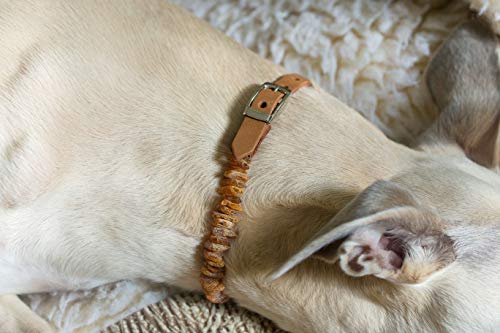 Hecho a mano, collar de ámbar antigarrapatas y antipulgas totalmente natural con ajustable correa de piel marrón claro para perros y gatos/hecho con amor, hermoso, útil, natural.