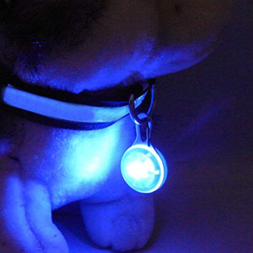 Hemore Colgante Circular para Mascota, práctico Collar de Perro, luz LED Multiusos, Llavero de Seguridad para Perro, Azul