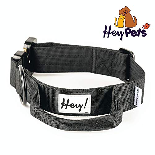 Hey Pets - Collar para perros de entrenamiento (nailon altamente resistente, para perros medianos y grandes, con cierre macizo, acabado de alta calidad, longitud = 40-50 cm, XL = 45-55 cm)