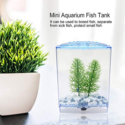 Hffheer Betta Bowl Mini Acuario Kit de Tanque de Peces Acrílico Transparente Caja de cría de Peces Caja de Aislamiento Acuario Aclimatación Incubadora Incubadora para Peces pequeños, camarones(#1)