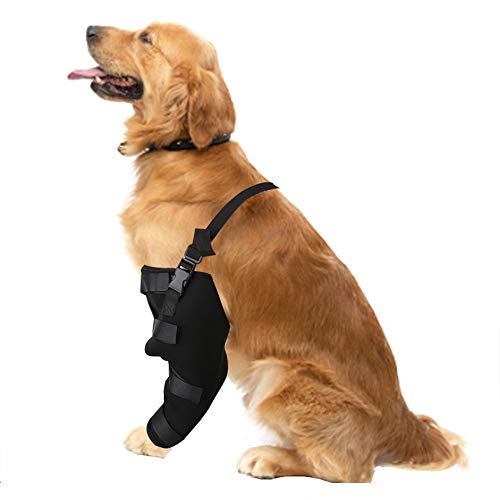 Hffheer Perro canino Trasero Pierna Hock Joint Wrap Band Mascota canino Trasero Pierna férula Perro Artritis esguince Protector curativo(L-Pierna Izquierda)