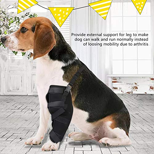 Hffheer Perro canino Trasero Pierna Hock Joint Wrap Band Mascota canino Trasero Pierna férula Perro Artritis esguince Protector curativo(L-Pierna Izquierda)