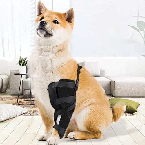 Hffheer Perro canino Trasero Pierna Hock Joint Wrap Band Mascota canino Trasero Pierna férula Perro Artritis esguince Protector curativo(L-Pierna Izquierda)