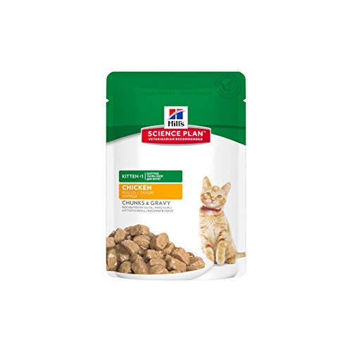 Hill's Feline Kitten Chicken Comida para Gatos - 12 unidades x 85 gr