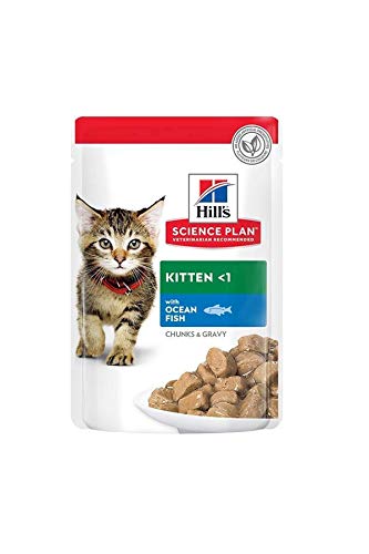 Hill's Feline Kitten Ocean Fish Comida para Gatos - 85 gr