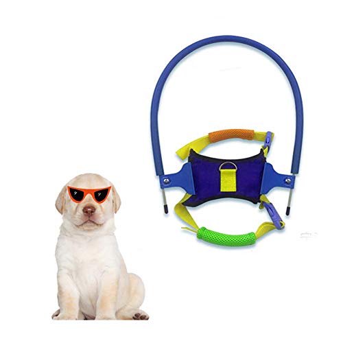 HJJH Arnés de halo para Perro Ciego, Dispositivo de guía de arnés de Perro Ciego Seguro, Anillo de Chaleco Protector para Perros para Perros Ciegos Anillo de Chaleco Protector Suave para Perros,XXL