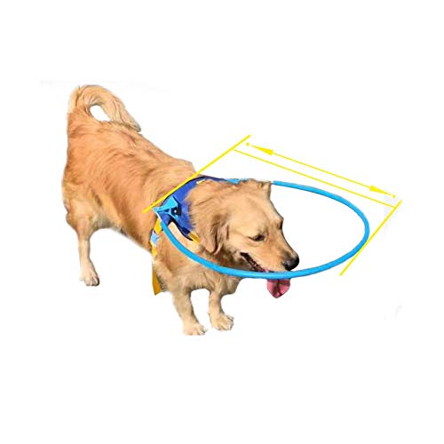 HJJH Arnés de halo para Perro Ciego, Dispositivo de guía de arnés de Perro Ciego Seguro, Anillo de Chaleco Protector para Perros para Perros Ciegos Anillo de Chaleco Protector Suave para Perros,XXL