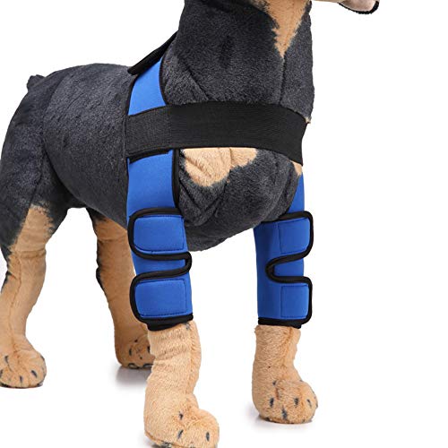 Hmpet Protector De Codo De Perro Perro Pierna Ortodoncia, 1 Par Perro Frente Pierna Conjunto Ortopédico Mascota Envoltura Conjunta Apoyo para Lesiones Quirúrgicas Esguince Protector,Azul,L