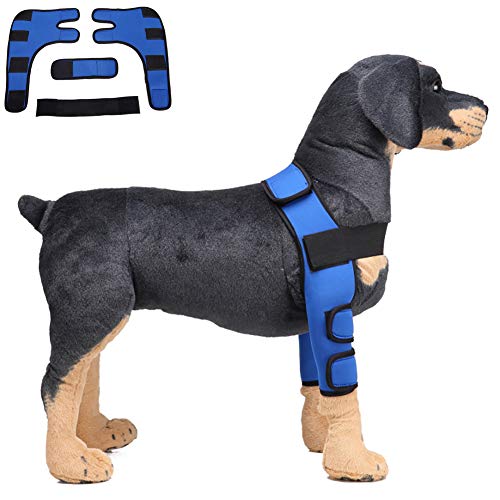 Hmpet Protector De Codo De Perro Perro Pierna Ortodoncia, 1 Par Perro Frente Pierna Conjunto Ortopédico Mascota Envoltura Conjunta Apoyo para Lesiones Quirúrgicas Esguince Protector,Azul,L