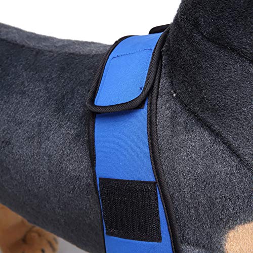 Hmpet Protector De Codo De Perro Perro Pierna Ortodoncia, 1 Par Perro Frente Pierna Conjunto Ortopédico Mascota Envoltura Conjunta Apoyo para Lesiones Quirúrgicas Esguince Protector,Azul,L