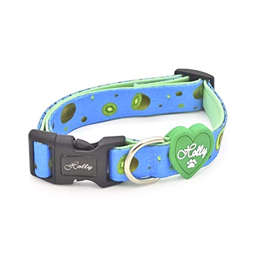 Holly Mascotas Collar para Perros con Interior De Neopreno para Máximo Confort (S, Kiwi Blue)