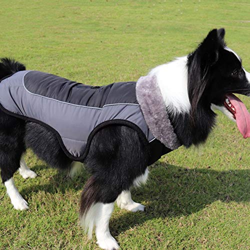 HotYou Abrigo de Forro Polar para Perros pequeños, Chaqueta Abrigo Impermeable y cálido algodón para Cachorro de Invierno frío,Negro,XL: Busto (68-75CM)