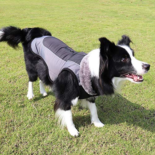 HotYou Abrigo de Forro Polar para Perros pequeños, Chaqueta Abrigo Impermeable y cálido algodón para Cachorro de Invierno frío,Negro,XL: Busto (68-75CM)